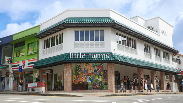 Little Farms - Holland Village food - dining - restaurants in Holland Village