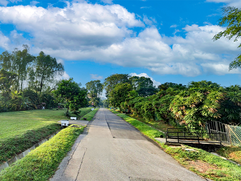 maida vale living in seletar camp