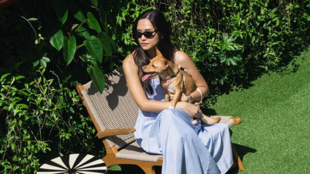 Dogs Welcome Daily in The Garden - The Standard Singapore