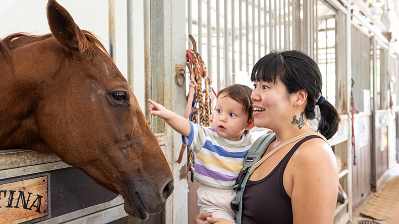 EQUAL Open Stables Day