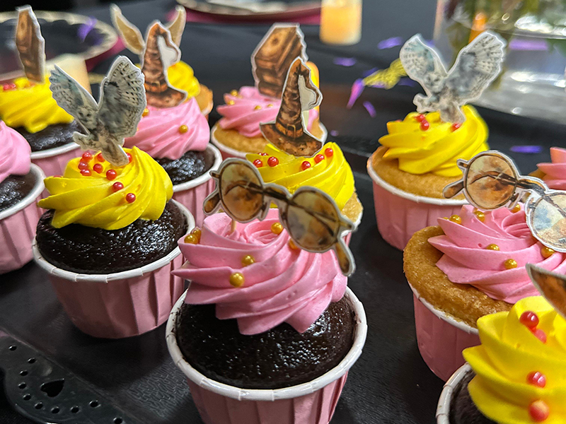 Newtonshow - birthday party venues in singapore