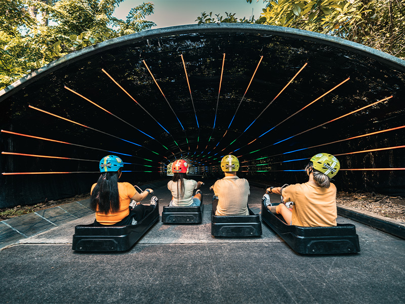 Skyline Luge - things to do in singapore this weekend - fun activities for kids 