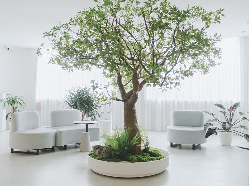 TCM clinic in Singapore - Oriental Remedies Clinic offers modern treatments like Electro-Lymphatic Therapy and acupuncture in Singapore