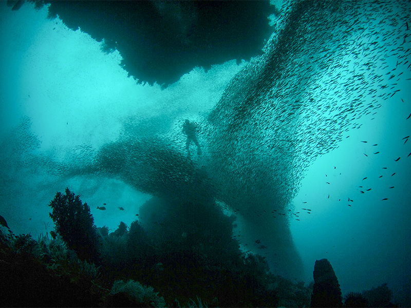 Lightfoot Travel - Indonesia Travel Destinations - hidden gems in indonesia - Raja Ampat trip 