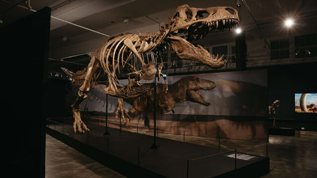 Science Centre Singapore