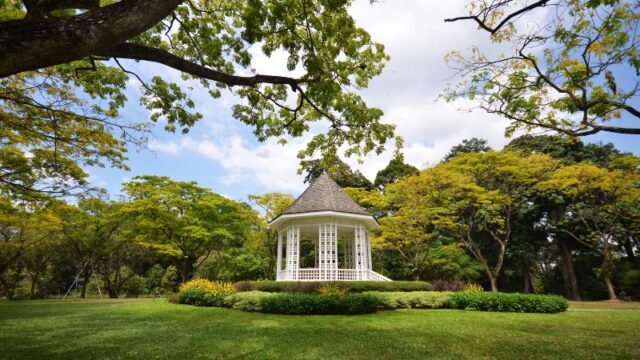 EL Botanic Gardens Walk