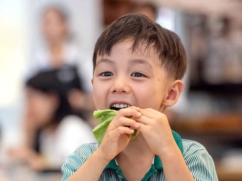 SJI International Preschool student learn about sustainable practices