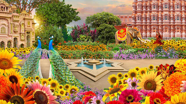 Sunflower Surprise at Gardens by the Bay