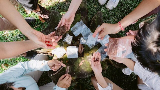 Living Earth Festival 2025