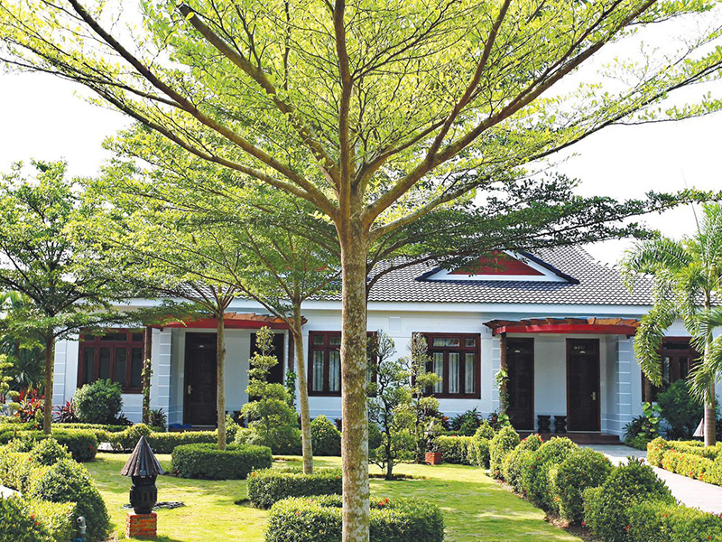Forever Green Resort in Ben Tre - retirement planning - retiring in vietnam Forever Green Resort in Ben Tre - retirement planning - retiring in vietnam