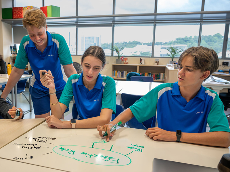 high school international baccalaureate diploma German at UWCSEA high school international baccalaureate diploma German at UWCSEA