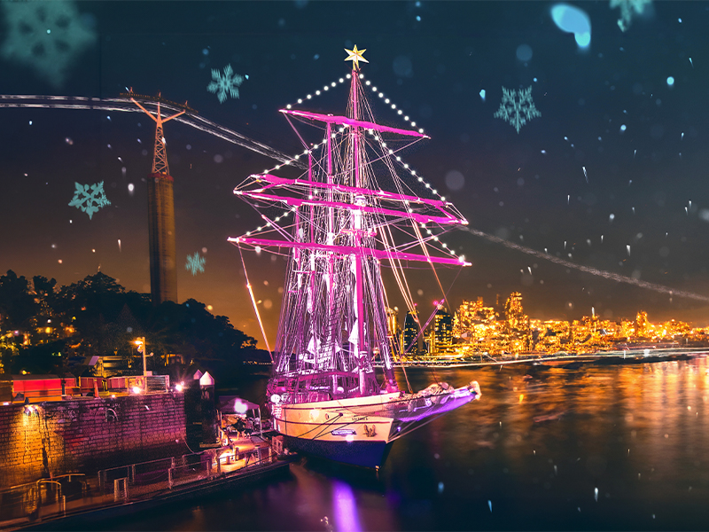 Royal Albatross Christmas Cruise - things to do for Christmas 