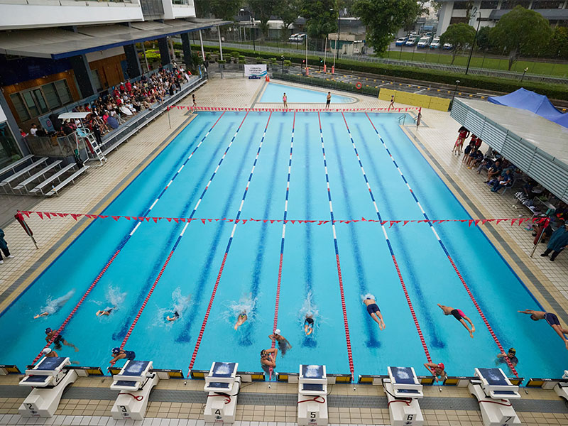 Stamford American competitive swimmers at Cognita schools swim league