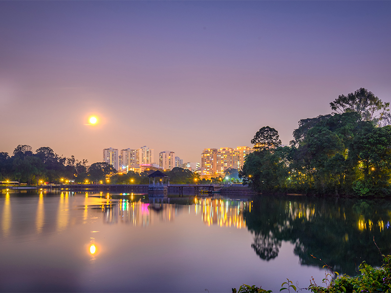 new condo near Bright Hill MRT new condo near Bright Hill MRT