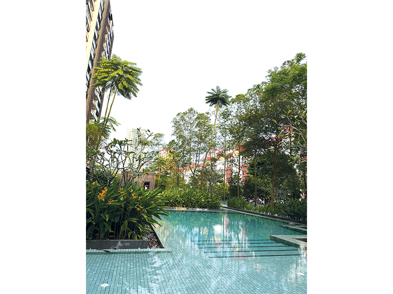 singapore apartments singapore apartments