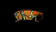Insects: Microsculptures Magnified at ArtScience Museum