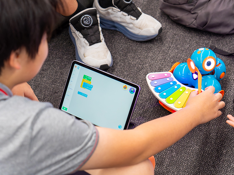 learning future skills at XWA with Surestart