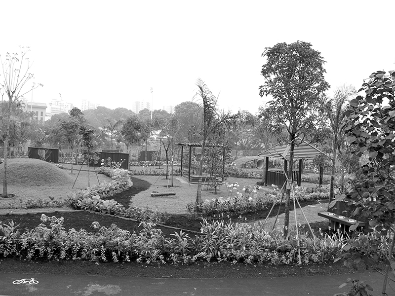 outdoor garden - STEAM education at Canadian School Singapore