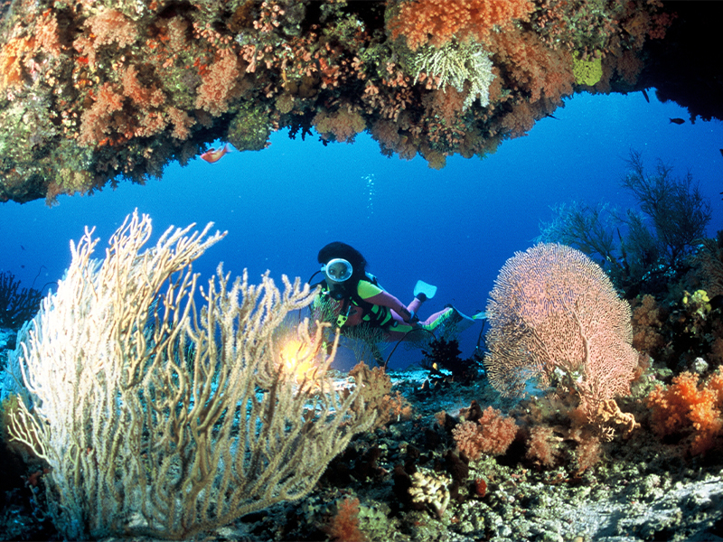 The Residence Maldives at Falhumaafushi - family vacations - best family resorts asia