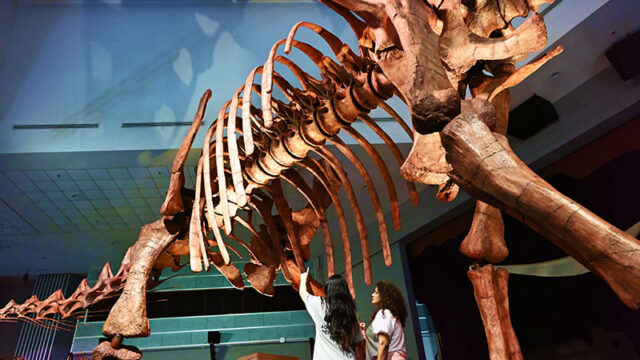 top places to visit in Singapore - things to do in singapore this weekend - fun activities for kids