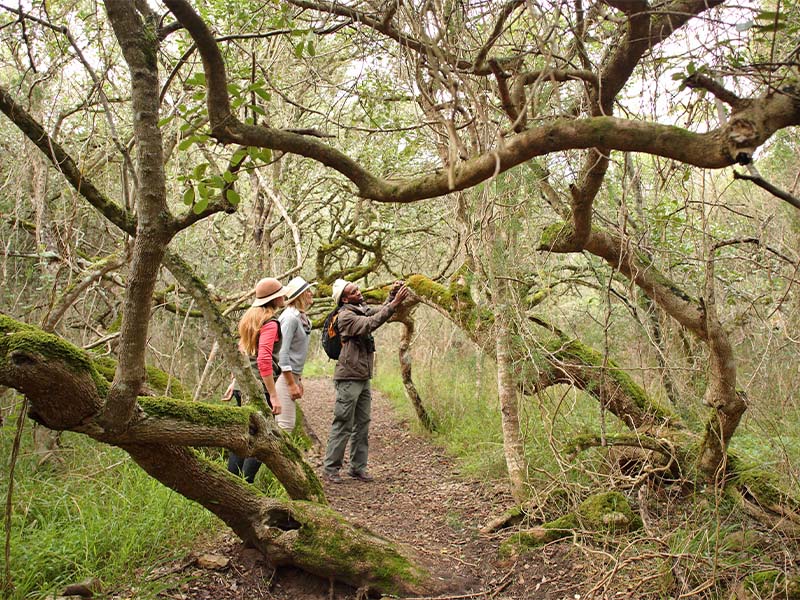 South Africa nature reserve