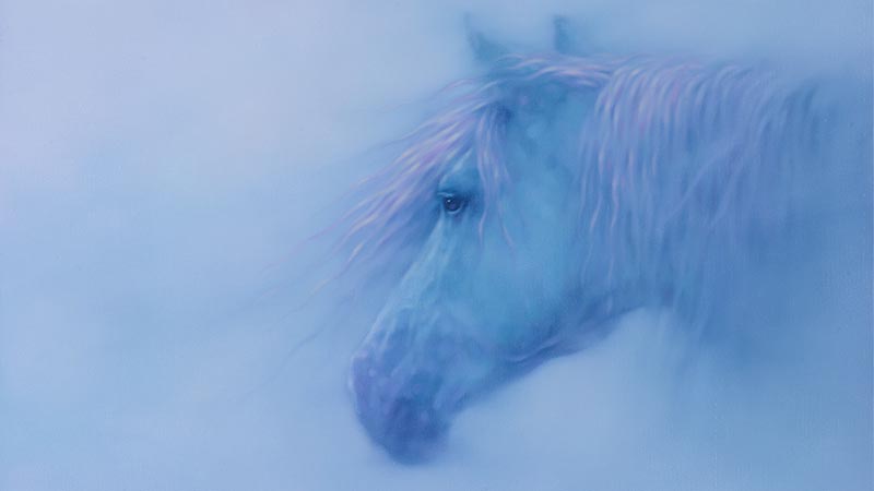 Art Exhibition: Fire Horse – The Decisive Moment