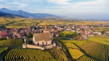 Rhône Wines & Alsace Wines - Best French wines to try in Singapore, best French wines, Rhône Valley, white wines, red wines, sparkling wines
