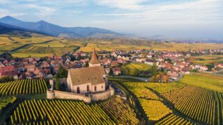 Rhône Wines & Alsace Wines - Best French wines to try in Singapore, best French wines, Rhône Valley, white wines, red wines, sparkling wines