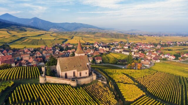 Rhône Wines & Alsace Wines - Best French wines to try in Singapore, best French wines, Rhône Valley, white wines, red wines, sparkling wines