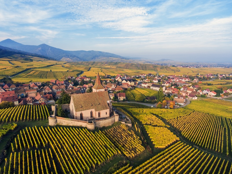 Alsace Wines - Best French wines to try in Singapore, best French wines, Rhône Valley, white wines, red wines, sparkling wines