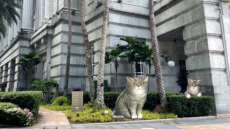 Adventures of Grumpy Cat by Yip Yew Chong at Fullerton Hotel