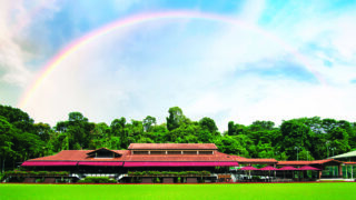 The Block Party: Pre-National Day Edition by Coriander Leaf at Singapore Polo Club
