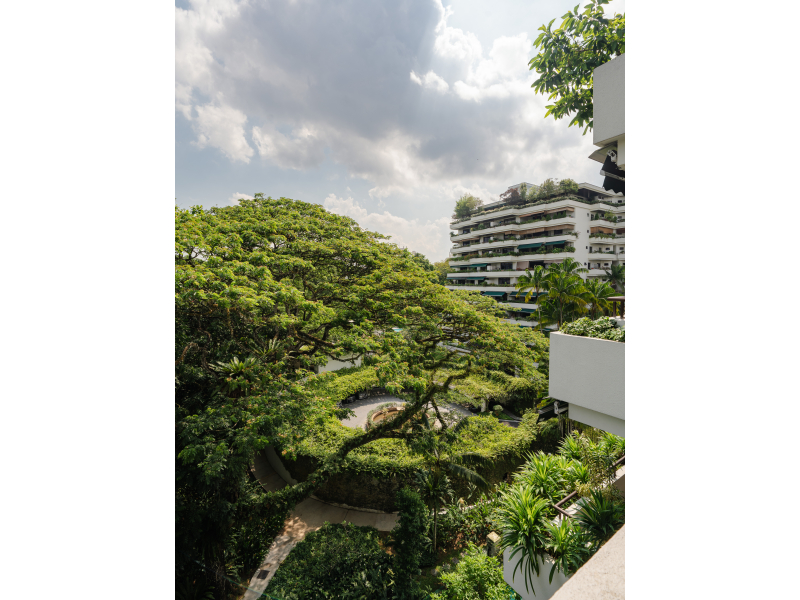 the arcadia condo