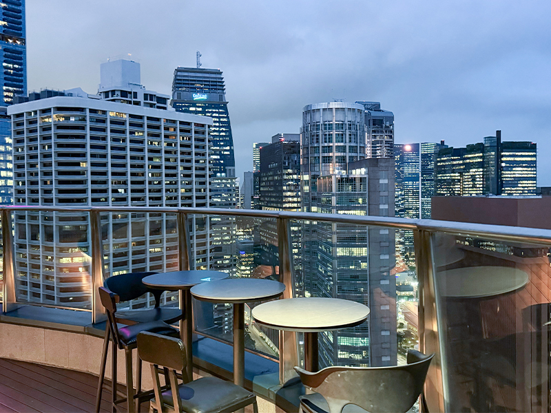 Moon Rooftop Bar & Lounge - rooftop restaurants and bars - bars for date night