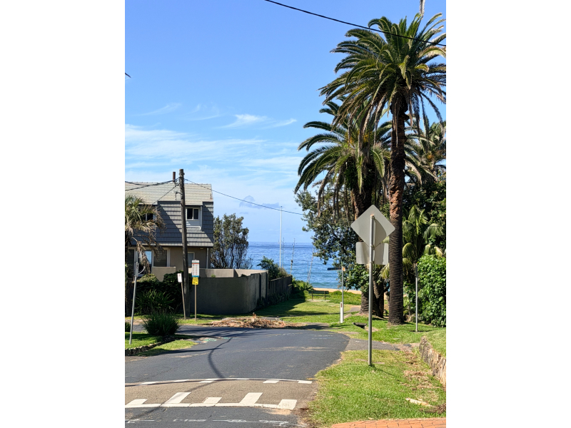 sydney beaches