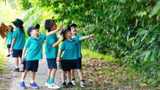 Dover Court International School NEST early childhood education classroom activity
